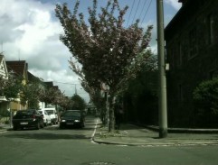 križovatka pri vile PhDr. Součkovej