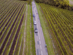 Silnice mezi vinicemi