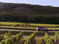 Silnice mezi vinicemi II