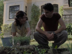 Trhání plevele ze záhonku