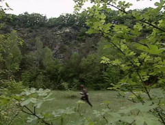 Hospoda U bílé kočky