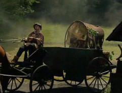 Hospoda U bílé kočky