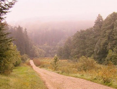 Delegace prince Vladana