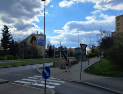 Utrpení mladého Boháčka