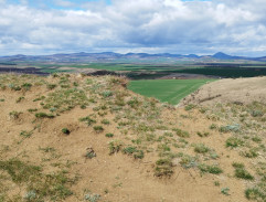 Sněženky a machři po 25 letech