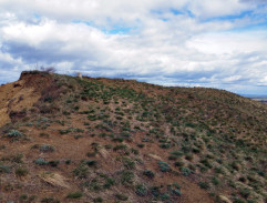 Sněženky a machři po 25 letech