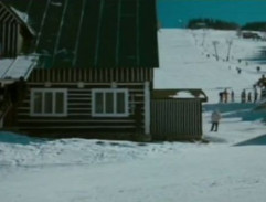 Karda cestou z nákupu