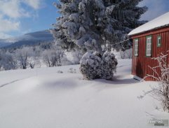 autobusová zastávka