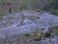 Mahulena, zlatá panna