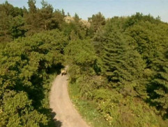 Artur na motocyklu 2