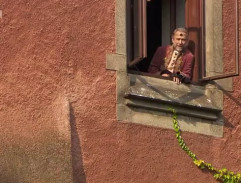 Král v okně