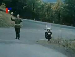 Údolí krásných žab