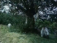 Pohádka svatojánské noci