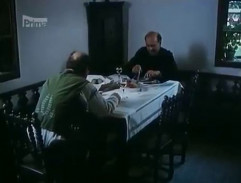 Pohádka svatojánské noci