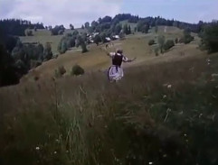 Pohádka svatojánské noci