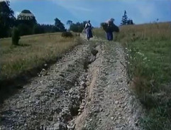 Pohádka svatojánské noci