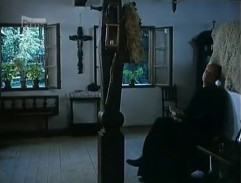 Pohádka svatojánské noci