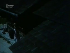 Pohádka svatojánské noci