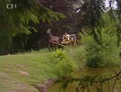 Brnění a rolničky