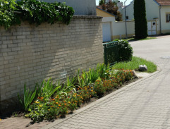 9. Verejný nepriateľ