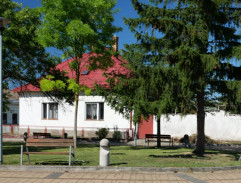 dom Miša Petroviča