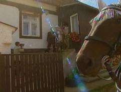 schodisko v hájovni