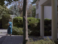 Psycholožka jde Anežce otevřít