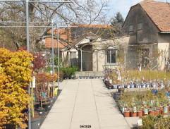 LOVEní