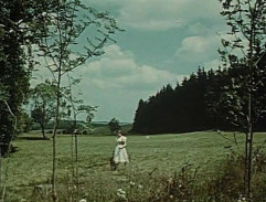 Mlynářova dcera jde smutně po louce