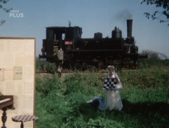 Když má láska zelenou