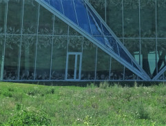 Veget před kriminálkou