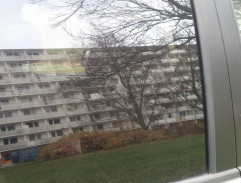 Bydliště Petra Třebovického