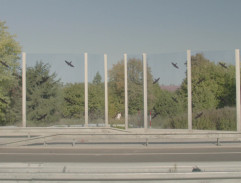 Mjr. Výrová u dálnice