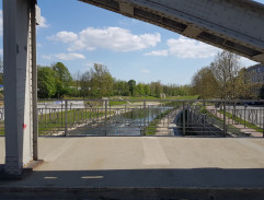 Píšťaličko, otloukej se