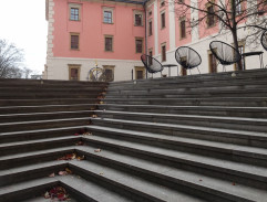 Focení promovaných