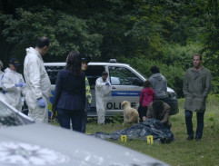 Mrtvola Milana Šlaka