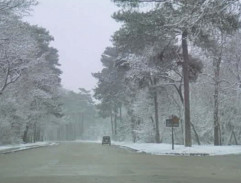 Zrušená schůzka s Mariem