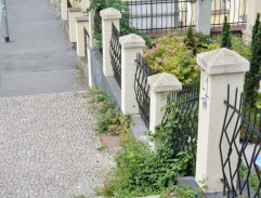 Pitrasová s Filípkem