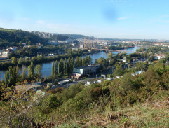 Sebevrah Robin Turek