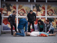 Kolaps Marie Fialové II