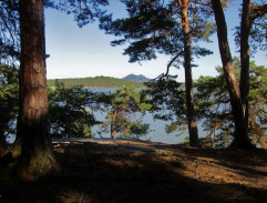 Zítra se bude tančit všude