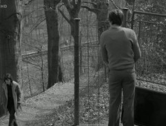 Cesta k chatě v Olešku