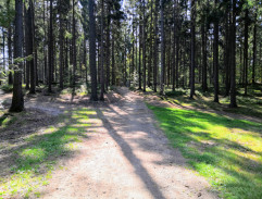 Ukazatele na rozcestí