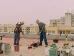 Natírání střechy