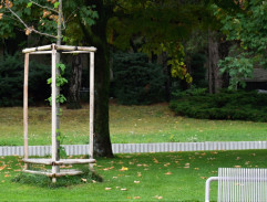 Dempsey a Makepeaceová