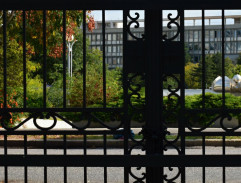 Protest proti poľským kuratám