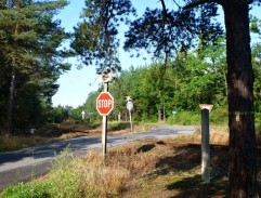 Sázka na třináctku