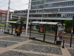 Redaktor sa pýta mladých na premiéra