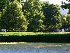 v Prezidentskej záhrade 2