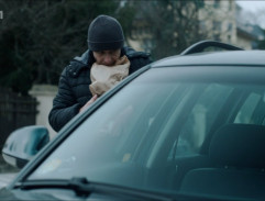 Hlídka před vilou II